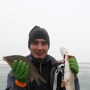 ���������� ������, ���� ������� Azam, 42 ����, ������������ ��� ������, ����� � ���������, c�������� ���������, ���������