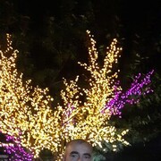  ,   , 48 ,   