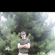 ���������� ������, ���� ������� ����, 41 ���, ������������ ��� ������