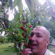  ,    , 56 ,  
