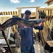 ���������� ������, ���� ������� ������, 43 ����, ������������ ��� ����� � ���������, c�������� ���������