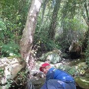 ���������� ����, ���� ������� Sergey, 34 ����, ������������ ��� ������, ����� � ���������