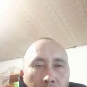  ,  , 43