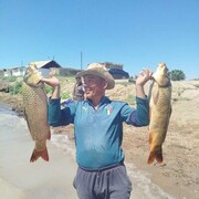 ���������� ��������, ���� ������� �������, 48 ���, ������������ ��� ������, ����� � ���������, c�������� ���������, ���������