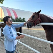  ,   Lion, 30 ,   ,   
