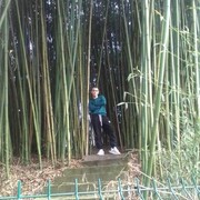 ���������� ����, ���� ����� ������, 25 ���, ������������ ��� ����� � ���������