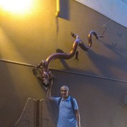  ,   , 49 ,   