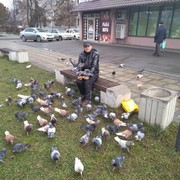  ,   , 70 ,  
