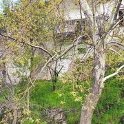 ���������� ������, ���� ������� ����, 40 ���, ������������ ��� ������, ����� � ���������