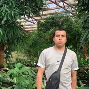 ���������� ������, ���� ������� Said, 29 ���, ������������ ��� ������, ����� � ���������