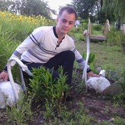  ,   , 36 ,   