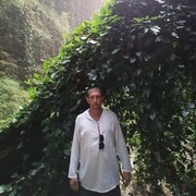  ,   , 41 ,   