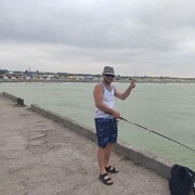  ,   , 43 ,   ,   