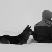 ���������� �������, ���� ������� ������, 46 ���, ������������ ��� ������