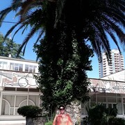 ���������� ����, ������� ��������, 52