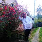  ,   , 60 ,   ,   , c 