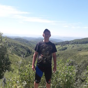  -,   , 39 ,  