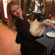 ���������� ������, ���� ������� ���������, 24 ����, ������������ ��� ������, ����� � ���������, c�������� ���������