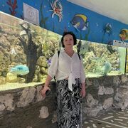  ,   , 51 ,     , 