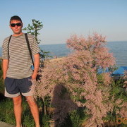 ���������� ���������, ���� ������� ������, 43 ����, ������������ ��� ������, ����� � ���������, c�������� ���������