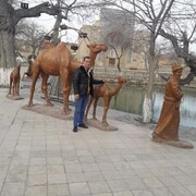  ,   , 33 ,   ,   