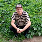  ,   , 43 ,   ,   
