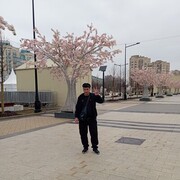 ���������� ������, ���� ������� ��������, 49 ���, ������������ ��� ������, ����� � ���������