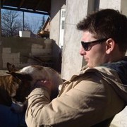  ,   Gradimir, 36 ,   ,   , c 