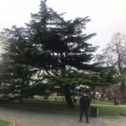  ,   , 34 ,   ,   