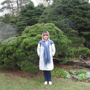 ���������� �����-���������, ���� ������� ����, 58 ���, ������������ ��� c�������� ���������, ���������