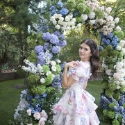 ���������� ������, ���� ������� �����, 23 ����, ������������ ��� ������, ����� � ���������, c�������� ���������, ���������