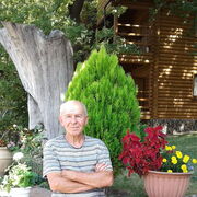 ���������� ������, ���� ������� �����, 68 ���, ������������ ��� c�������� ���������