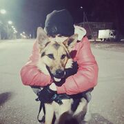 ���������� ��������, ���� ������� �����, 26 ���, ������������ ��� ����� � ���������, c�������� ���������