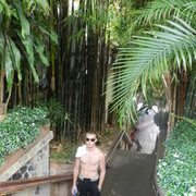 ���������� ���������, ���� ������� �������, 38 ���, ������������ 