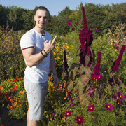 ���������� �����, ���� ������� ���������, 33 ����, ������������ ��� ������, ����� � ���������, c�������� ���������, ���������