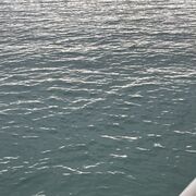 ���������� ������, ���� ����� �����, 24 ����, ������������ ��� ������, ����� � ���������