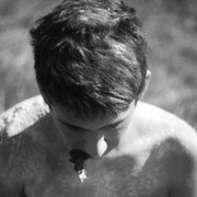  ,   , 29 ,  