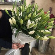 ���������� ������, ���� ������� ������, 45 ���, ������������ ��� ������, ����� � ���������, c�������� ���������, ���������