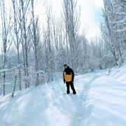 ���������� ���������, ���� ������� ˸��, 26 ���, ������������ ��� ������, ����� � ���������