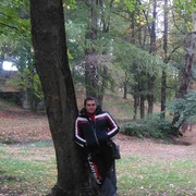  ,   , 41 ,   