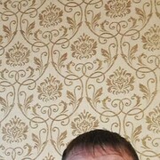  ,  , 48