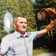  ,   , 75 ,   c , 
