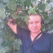  ,   Art, 55 ,   ,   , c 