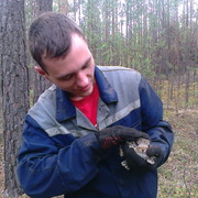  ,   , 37 ,   ,   , c 