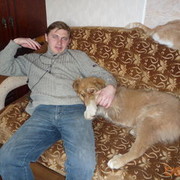 ���������� ���������, ���� ������� ������, 46 ���, ������������ 