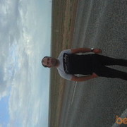  ,   BORZ, 38 ,   ,   , c , 