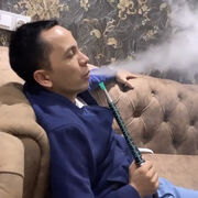 ���������� ������, ���� ������� Sardor, 40 ���, ������������ ��� ������, ����� � ���������