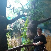 ���������� �����������, ���� ������� ��������, 46 ���, ������������ ��� ������, ����� � ���������, c�������� ���������