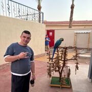 ���������� �����������, ���� ������� ������, 41 ���, ������������ ��� ����� � ���������, c�������� ���������