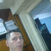  ,   VIZ, 48 ,   ,   , c 